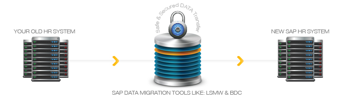 Data Migration Process